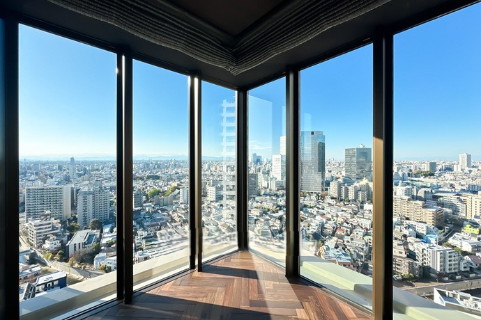 Park Tower Nishi-Shinjuku thumbnail 3